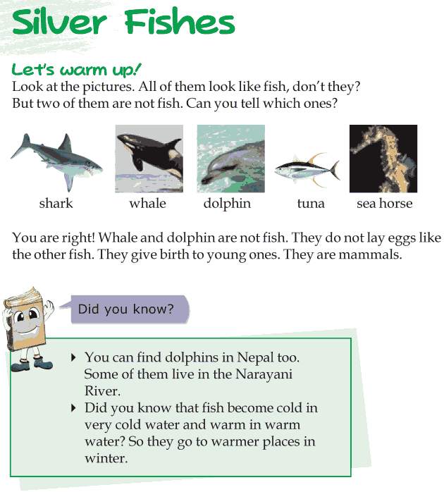 Grade 3 Reading Lesson 17 Poetry - Silver Fishes